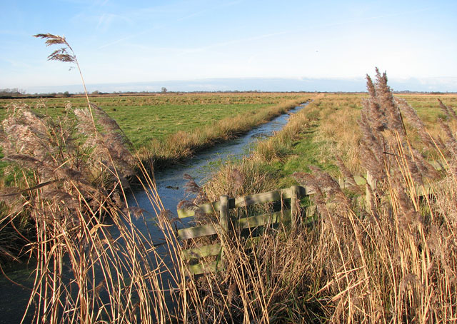 Upton Broad and Marshes