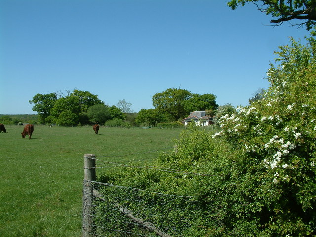 Thorndon Country Park South, Brentwood - geograph.org.uk - 420870