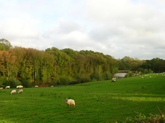 Unnamed Lake near Cuckoo Trail - geograph.org.uk - 267729