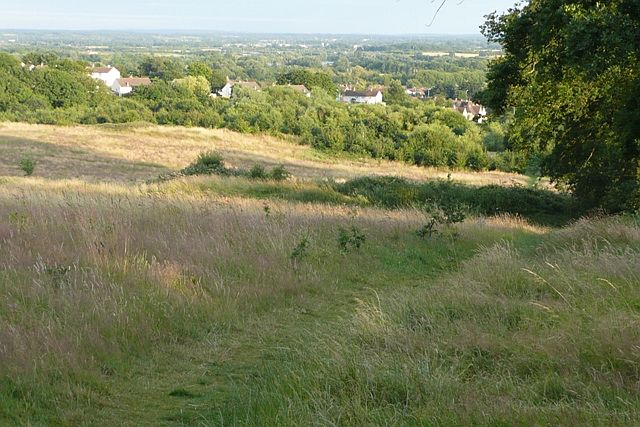 File:View from Garston's Park - geograph.org.uk - 883383.jpg