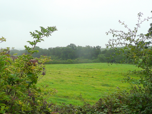File:View over the hedge - geograph.org.uk - 1470159.jpg