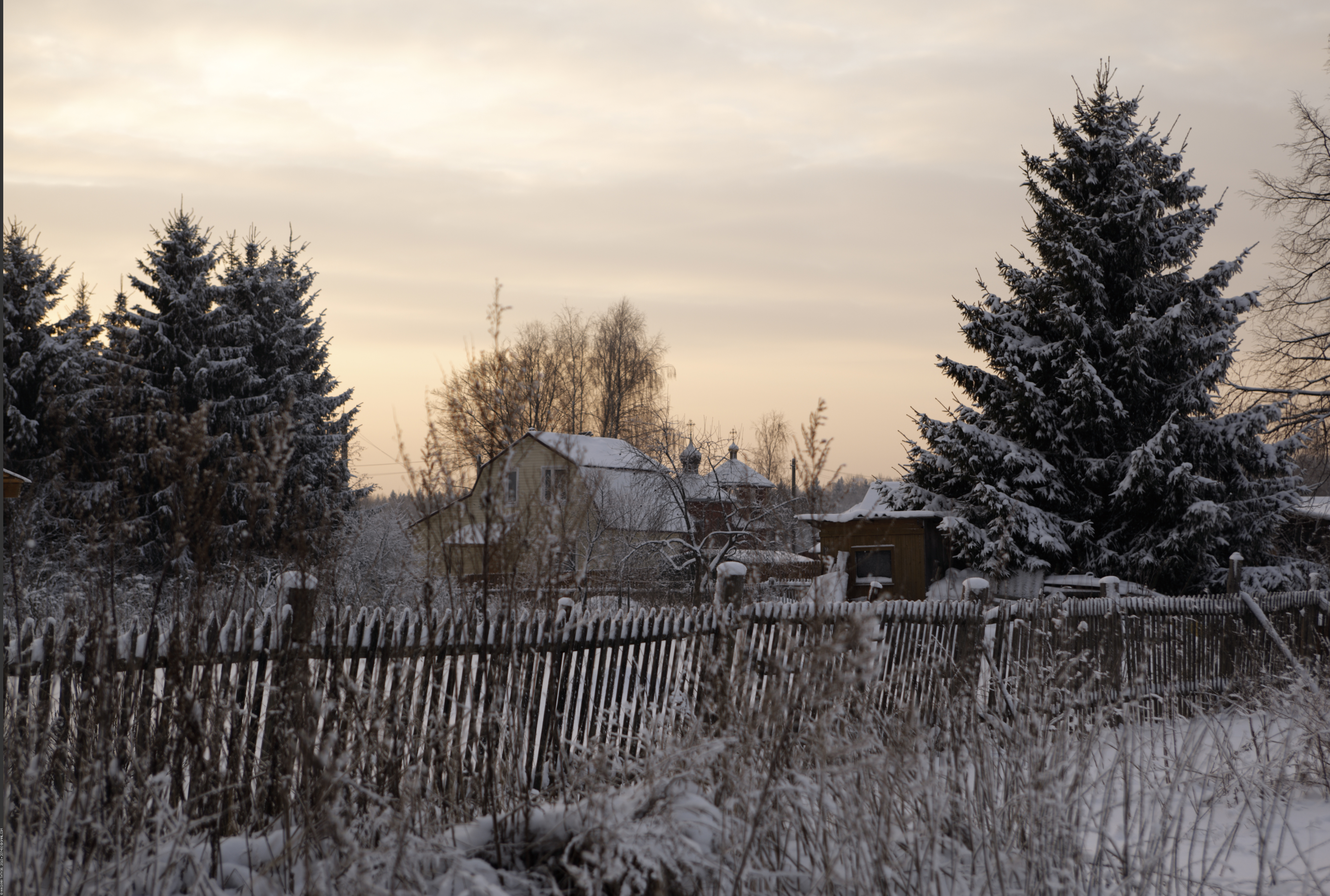 Село далекое. Мартьянково Пушкинский район. Мартьянково кемпинг. Семейная ферма и кемпинг «Мартьянково». Ферма Мартьянково отзывы.