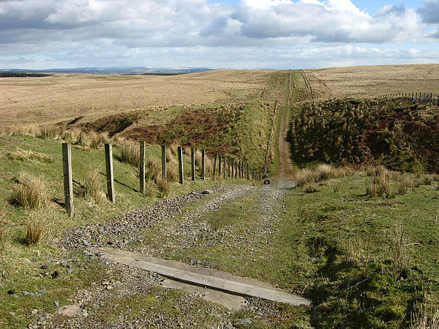 File:A track near Long Grain Head - geograph.org.uk - 734031.jpg