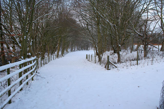 File:Another mining remnant - geograph.org.uk - 1655713.jpg