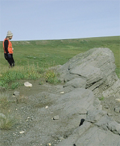 File:Anwr marsh creek.jpg