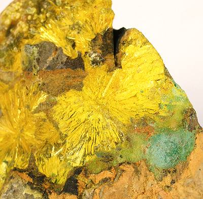 File:Astrocyanite-(Ce)-Kamotoite-(Y)-Uraninite-rad08-10c.jpg