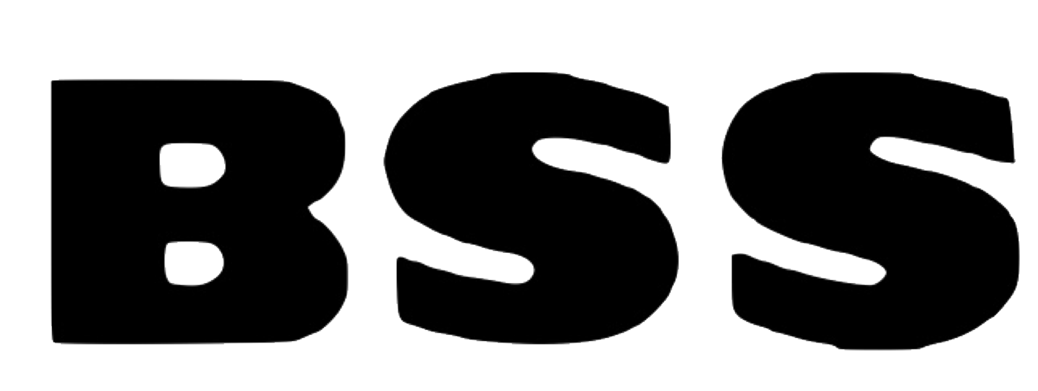 bss audio logo