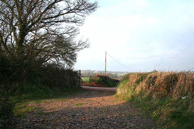 Colebrooke, the Two Moors Way - geograph.org.uk - 330560