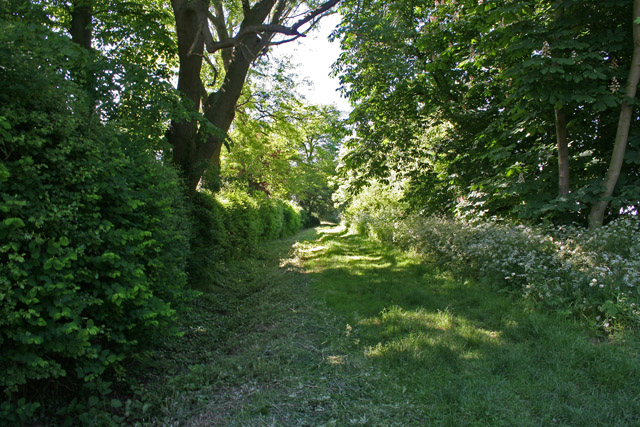 File:Cowlady Lane, Allington - geograph.org.uk - 180136.jpg