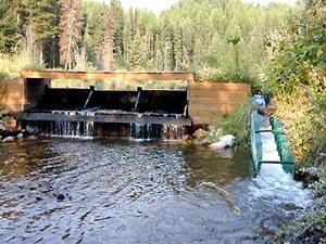 Denil Fishway on Salmon Creek, Montana