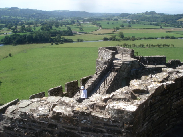 File:Dinefwr Castle and Afon Tywi - geograph.org.uk - 539288.jpg