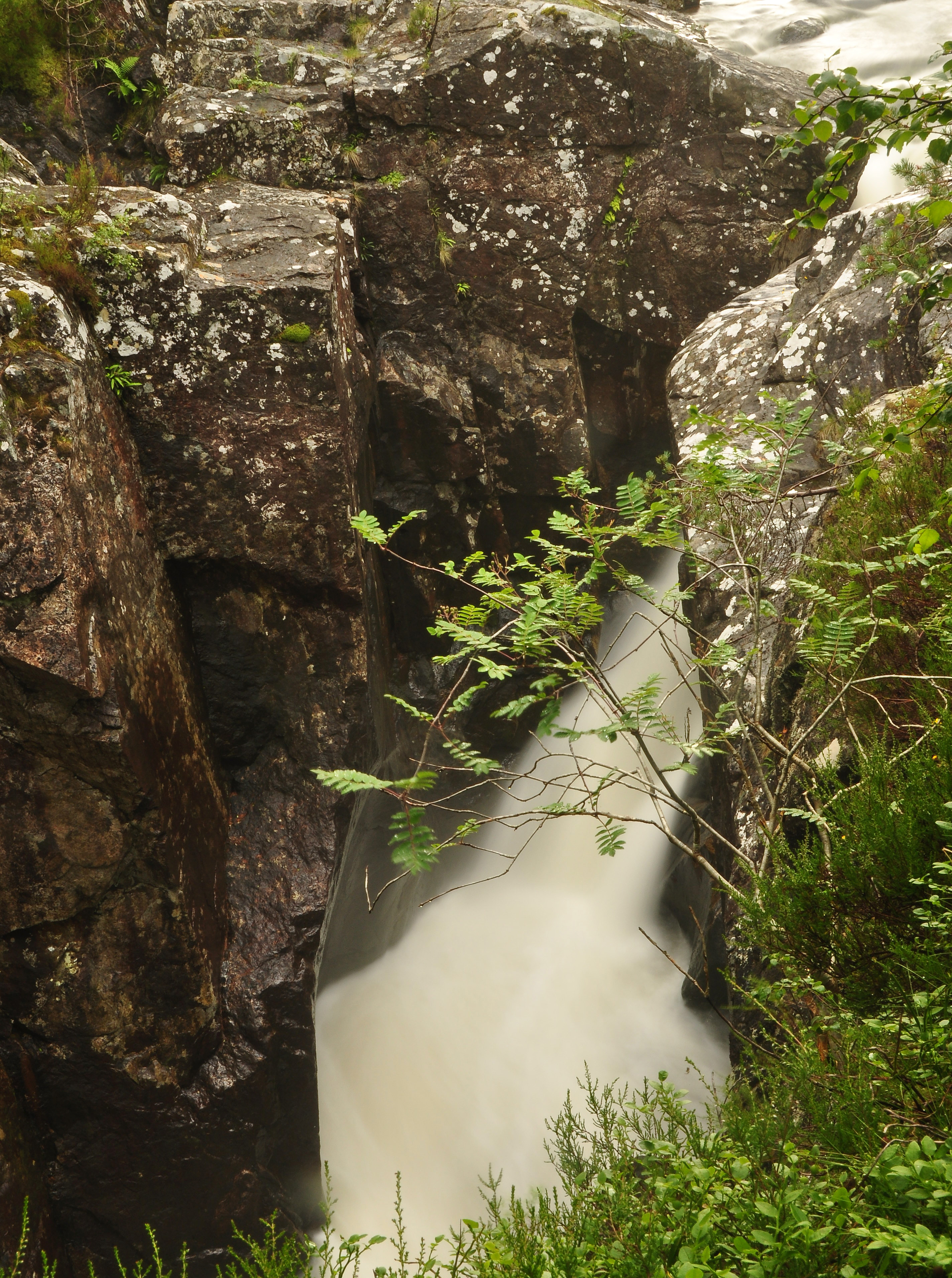 Dog Falls, Glen Affric