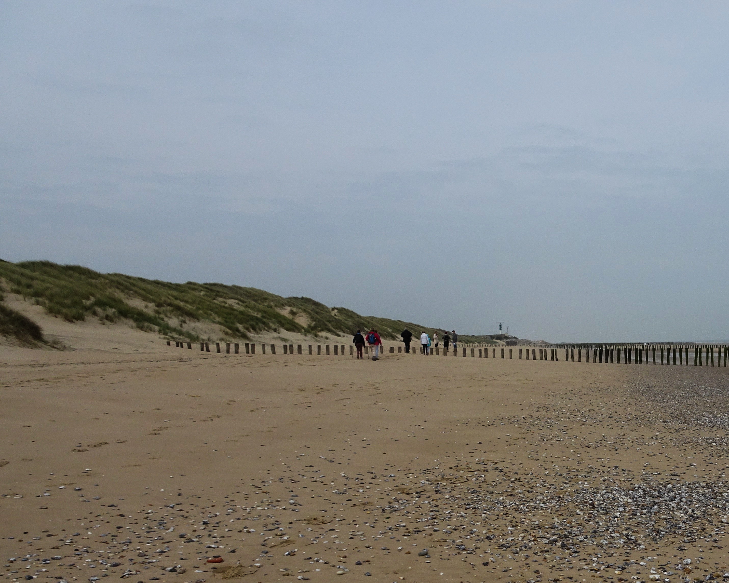 Filedunes De Fort Mahon à Sangatte Plage 2jpg