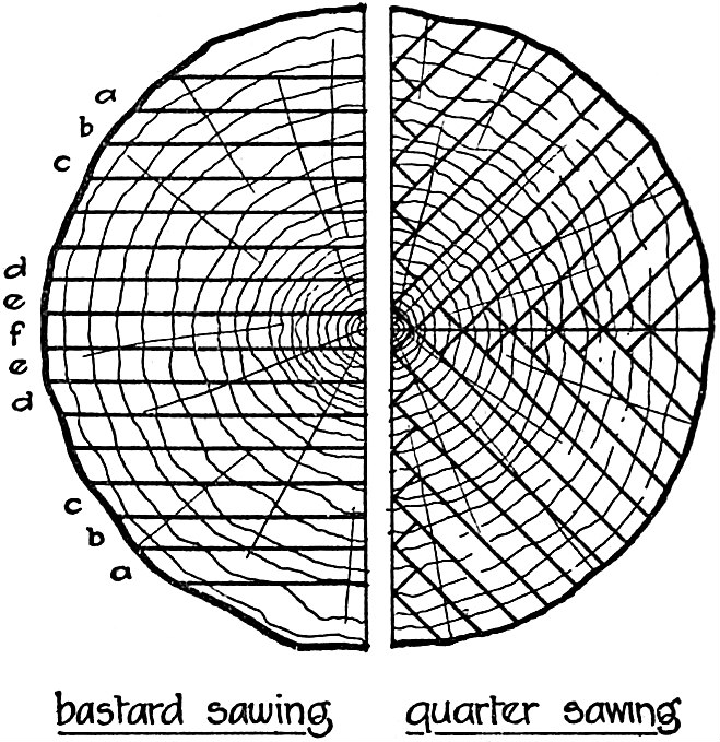 File Eb1911 Timber Sawing Patterns Jpg Wikimedia Commons