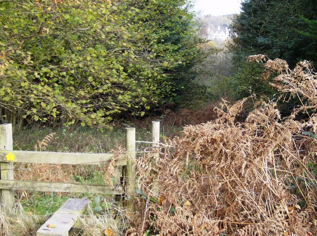 File:Entering Redcap Copse - geograph.org.uk - 621934.jpg