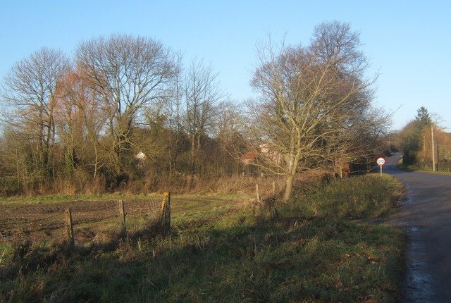 File:Field and trees by Ipswich Road - geograph.org.uk - 1083237.jpg