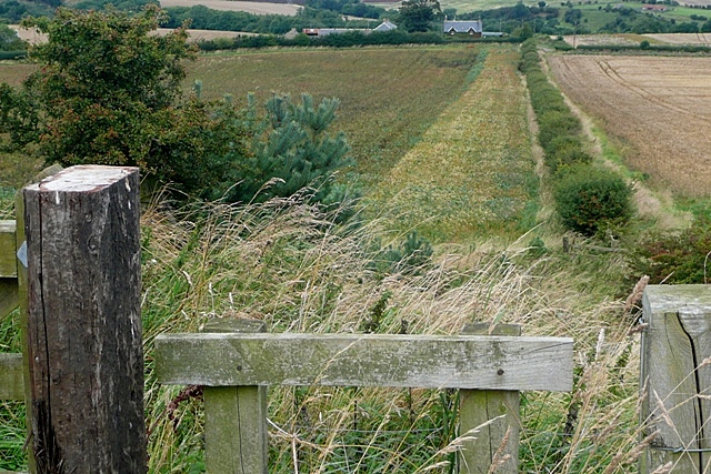 File:Footpath to Greenrigg - geograph.org.uk - 1520176.jpg