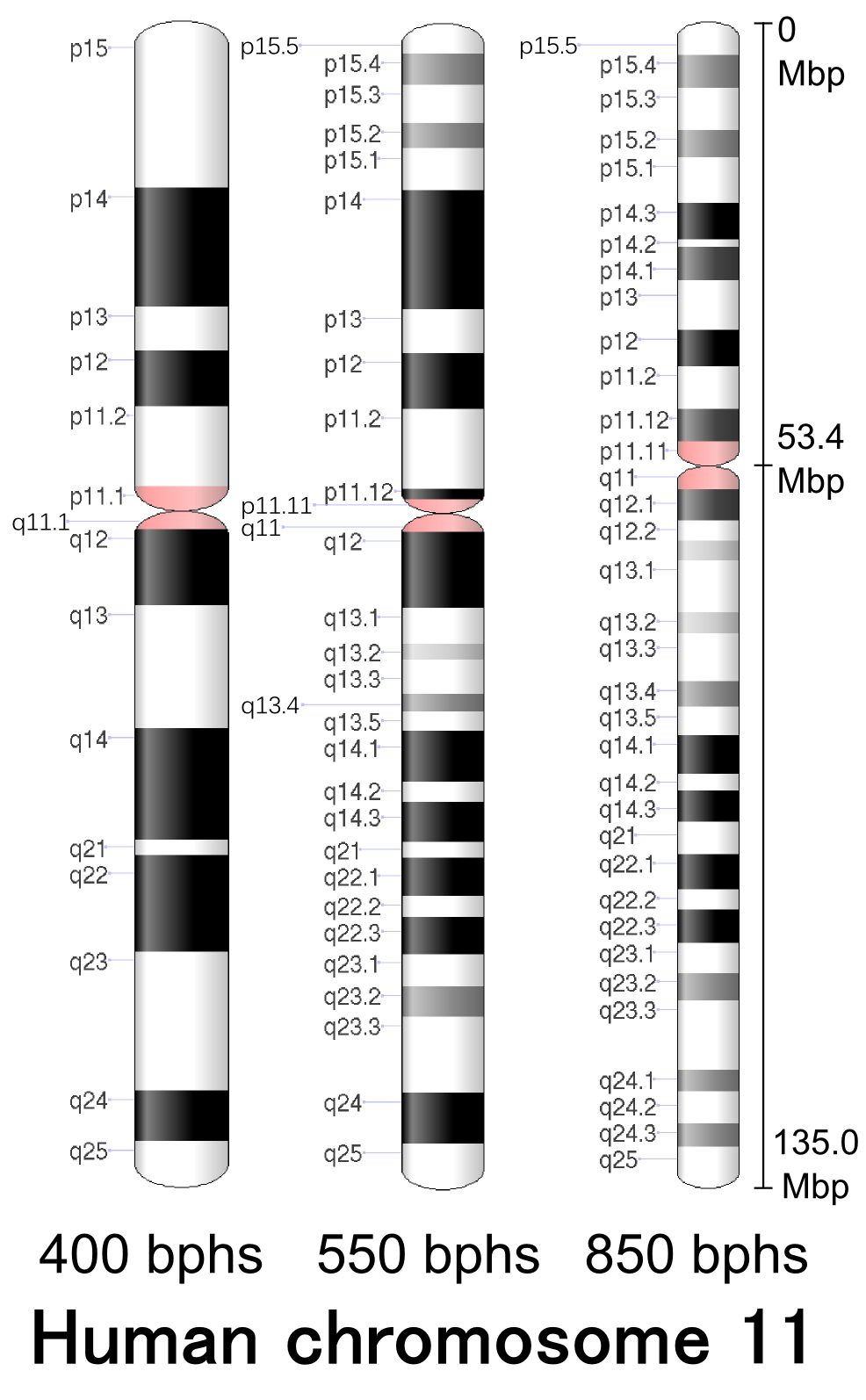 methemoglobinemia chromosome