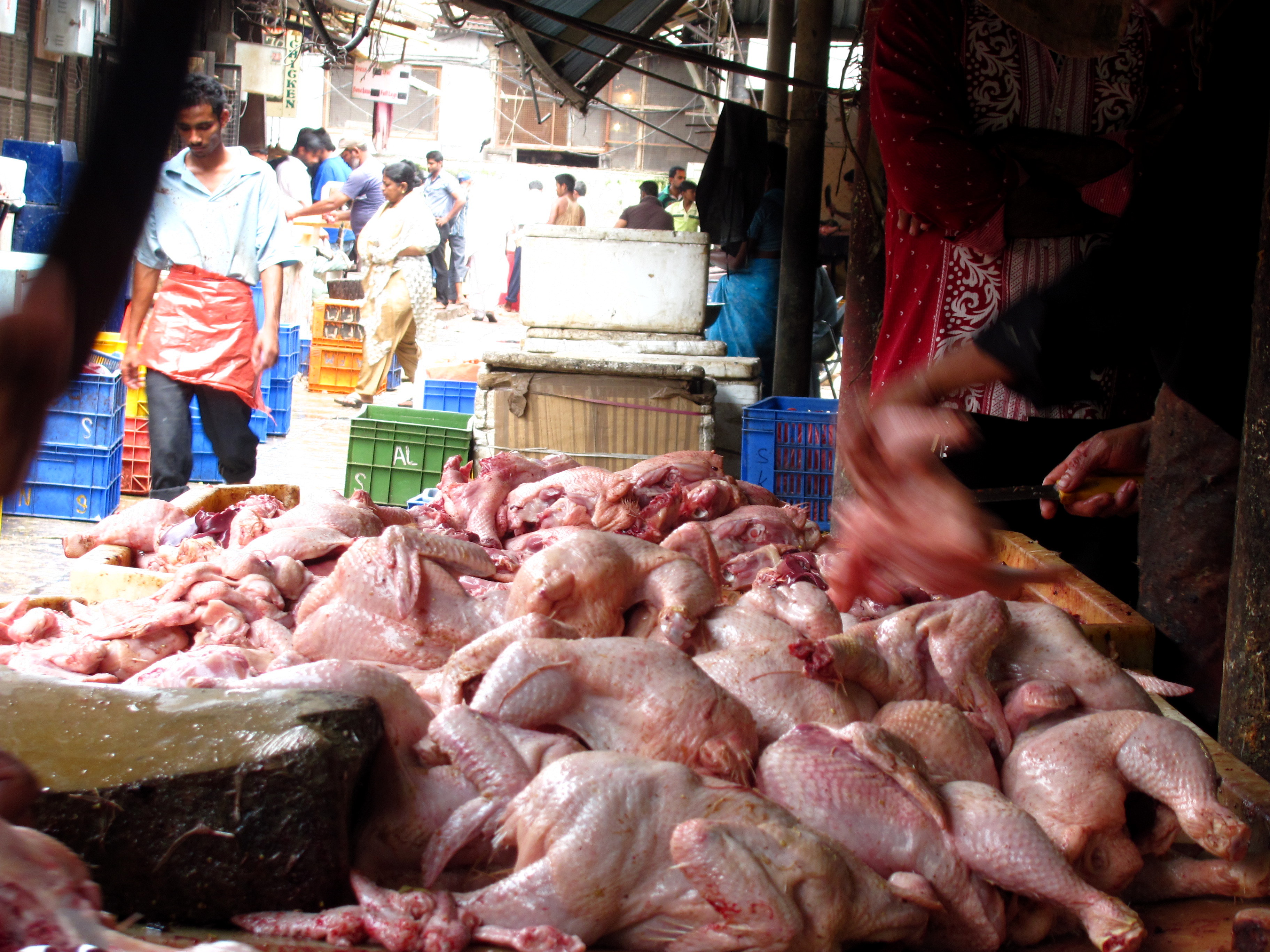 Сх рынки. СХ рынок. Poultry Market. Рынок СХ В Энгельсе. Рынок СХ животных в Москве и Московской области.