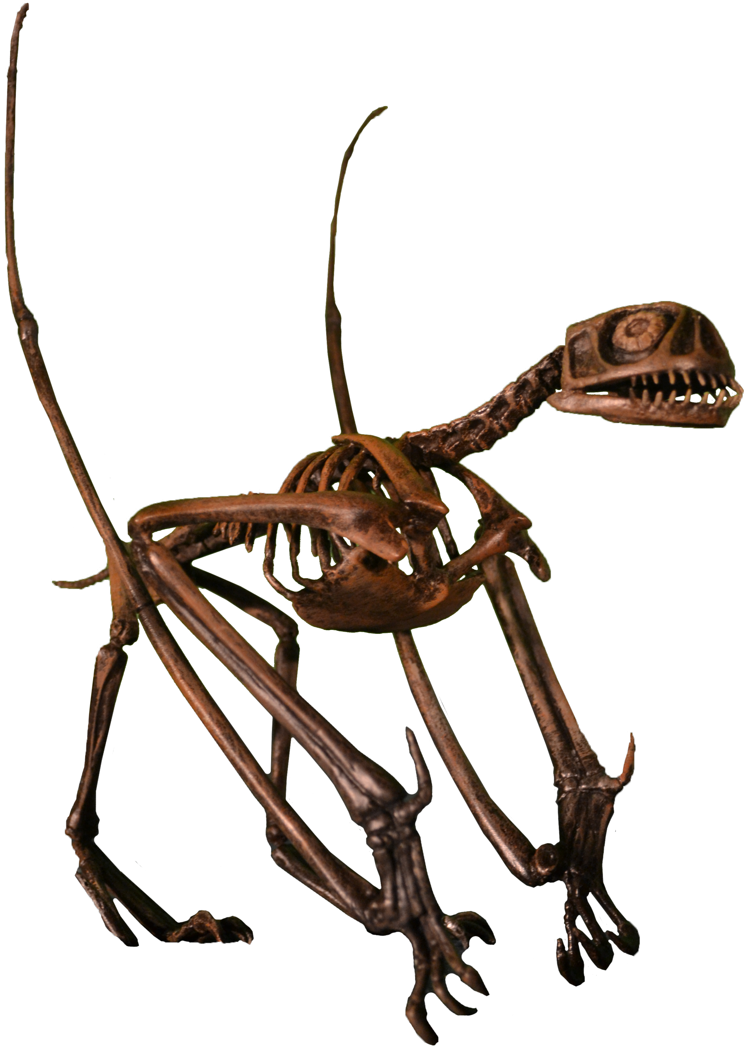 Pterosaur, Jurassic Park Wiki