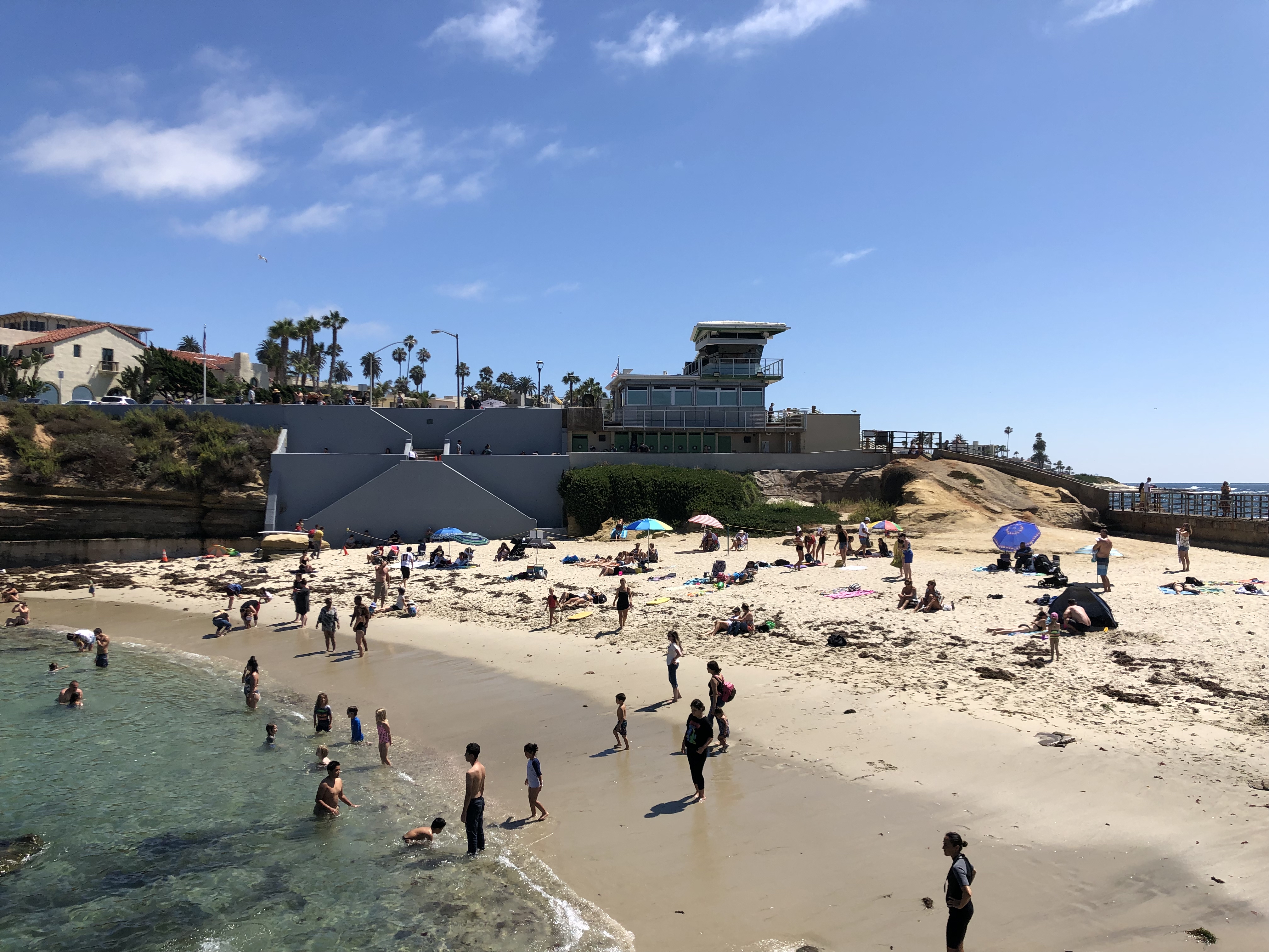 Jolla pr. La Jolla Cove ла-Холья. Floss in la Jolla.