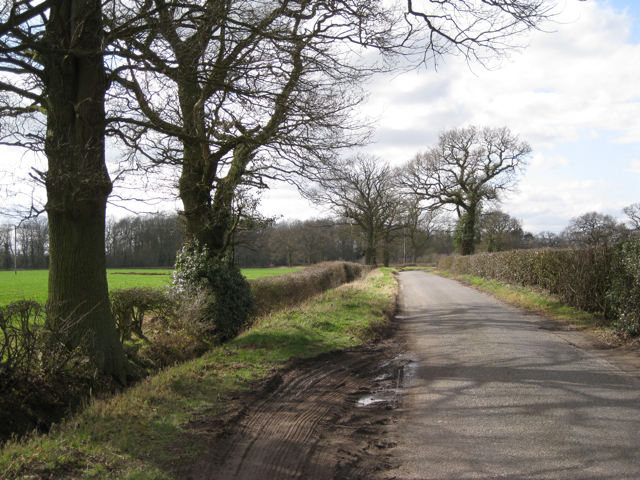 Lane to Wroxall from Haseley Knob - geograph.org.uk - 1775384