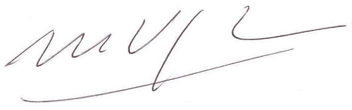 File:Mario vargas llosa signature transparent.png