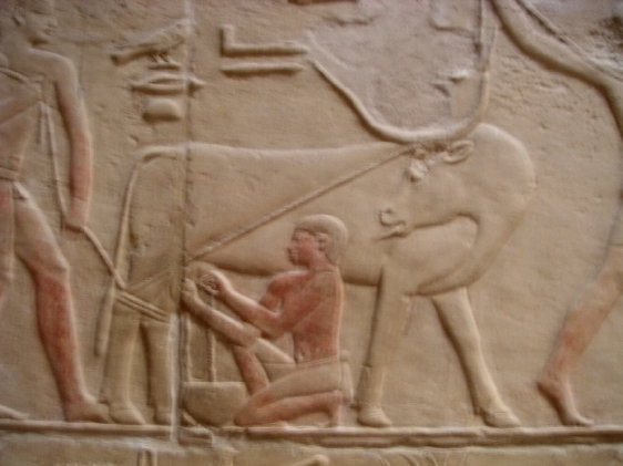 File:Mastaba Kagemni 03.jpg