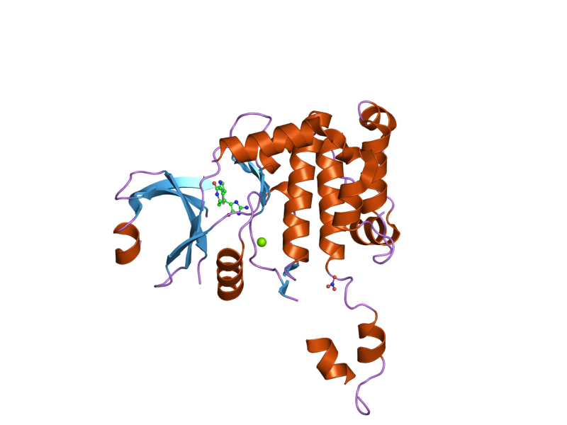 File:PDB 2cn8 EBI.png