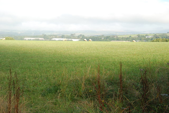 File:Pasture Land - geograph.org.uk - 3639330.jpg