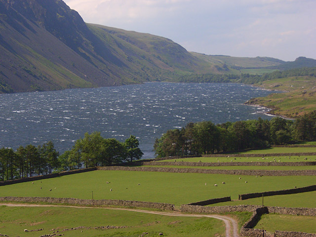 Pastures beside Wast Water - geograph.org.uk - 828941