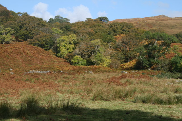 File:Ruins, Arienas - geograph.org.uk - 685204.jpg