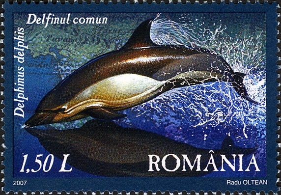 File:Stamps of Romania, 2007-008.jpg