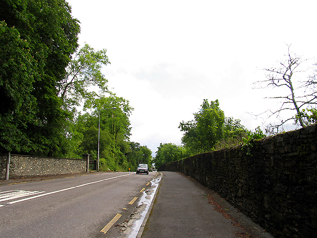 File:The N71 into Bantry - geograph.org.uk - 14827.jpg