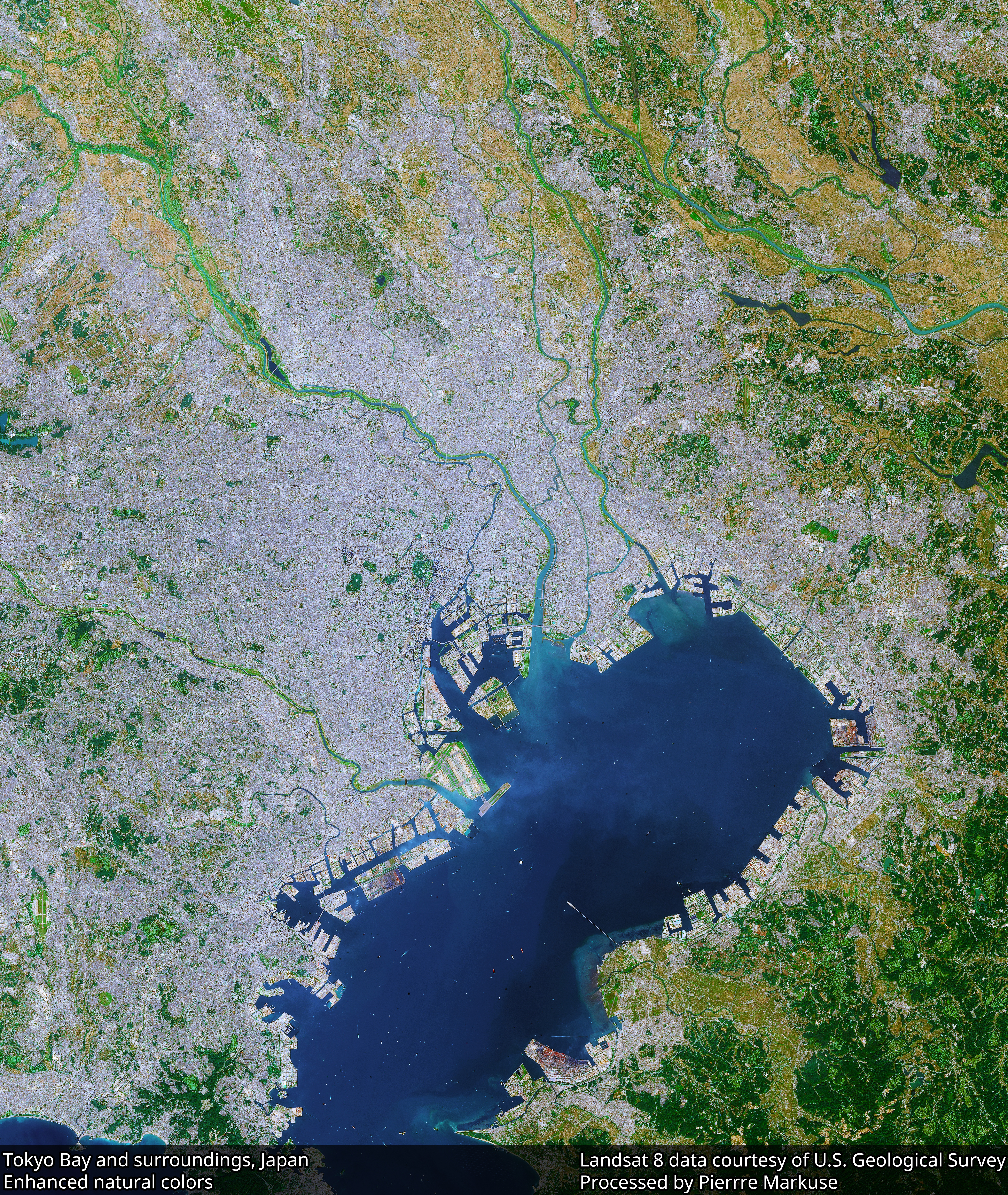 Токийский залив. Япония Токийский залив. Токийский залив со спутника. Бухта Токийского залива. Токийский залив вода.