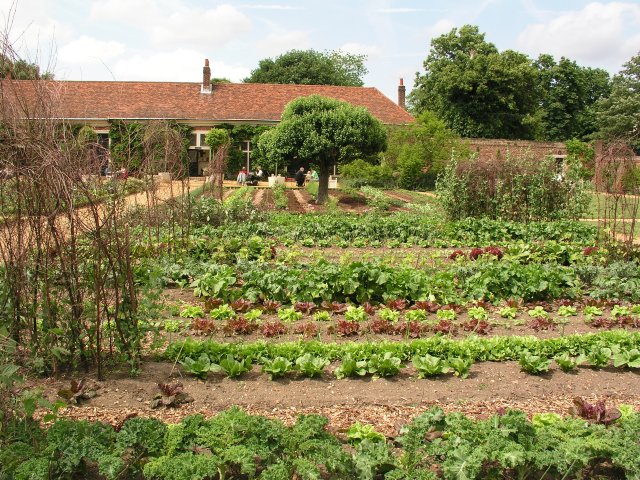 File:Vegetable garden at Ham House Estate - geograph.org.uk - 4530.jpg