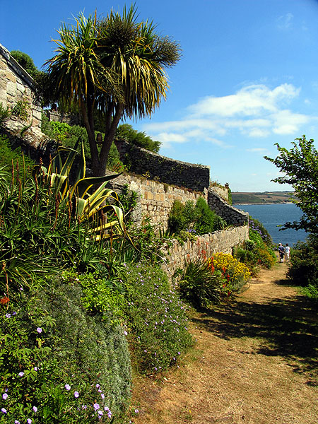 Walled Garden, St Michael's Mount (NT) - geograph.org.uk - 218924