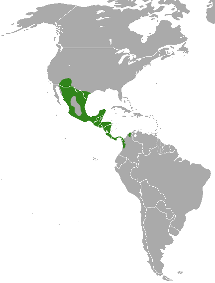 File:White-nosed Coati area.png