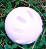 File:Wiffle ball.jpg