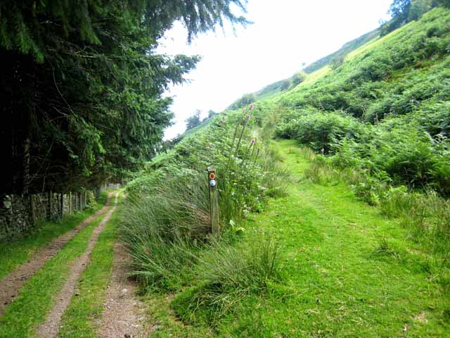 Wye Valley Walk - geograph.org.uk - 903159