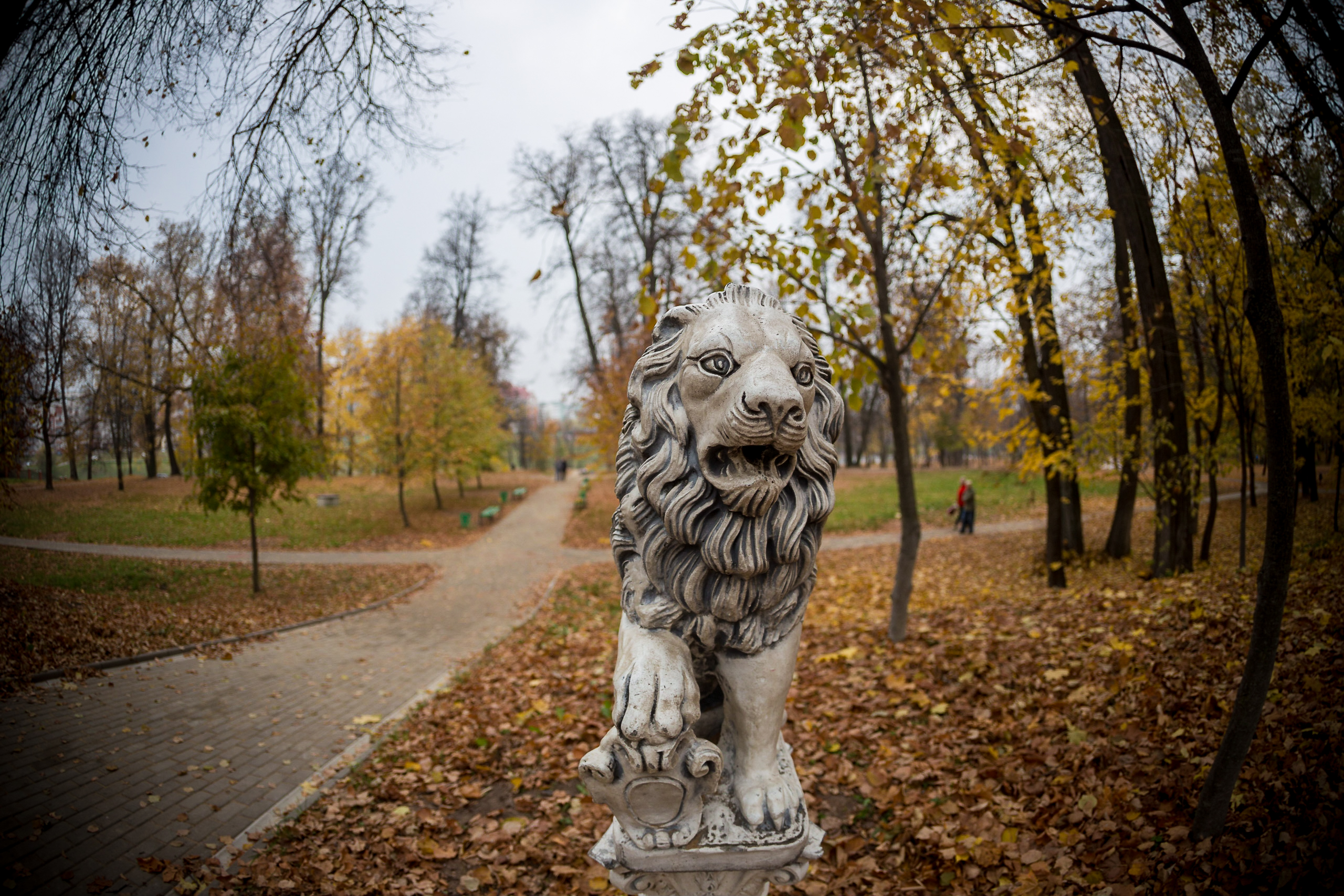 парк белкино в обнинске