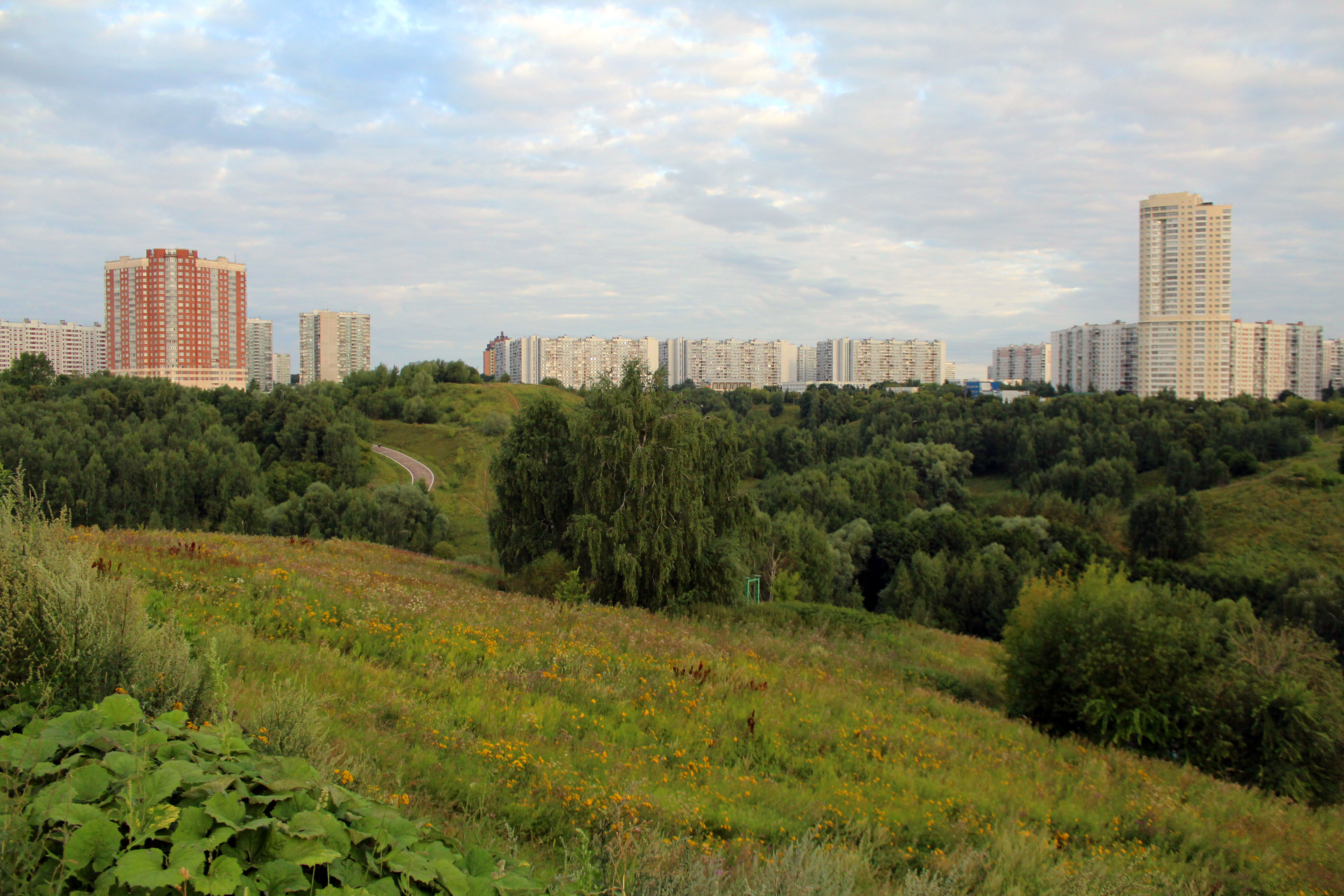 Крылатские холмы отзывы