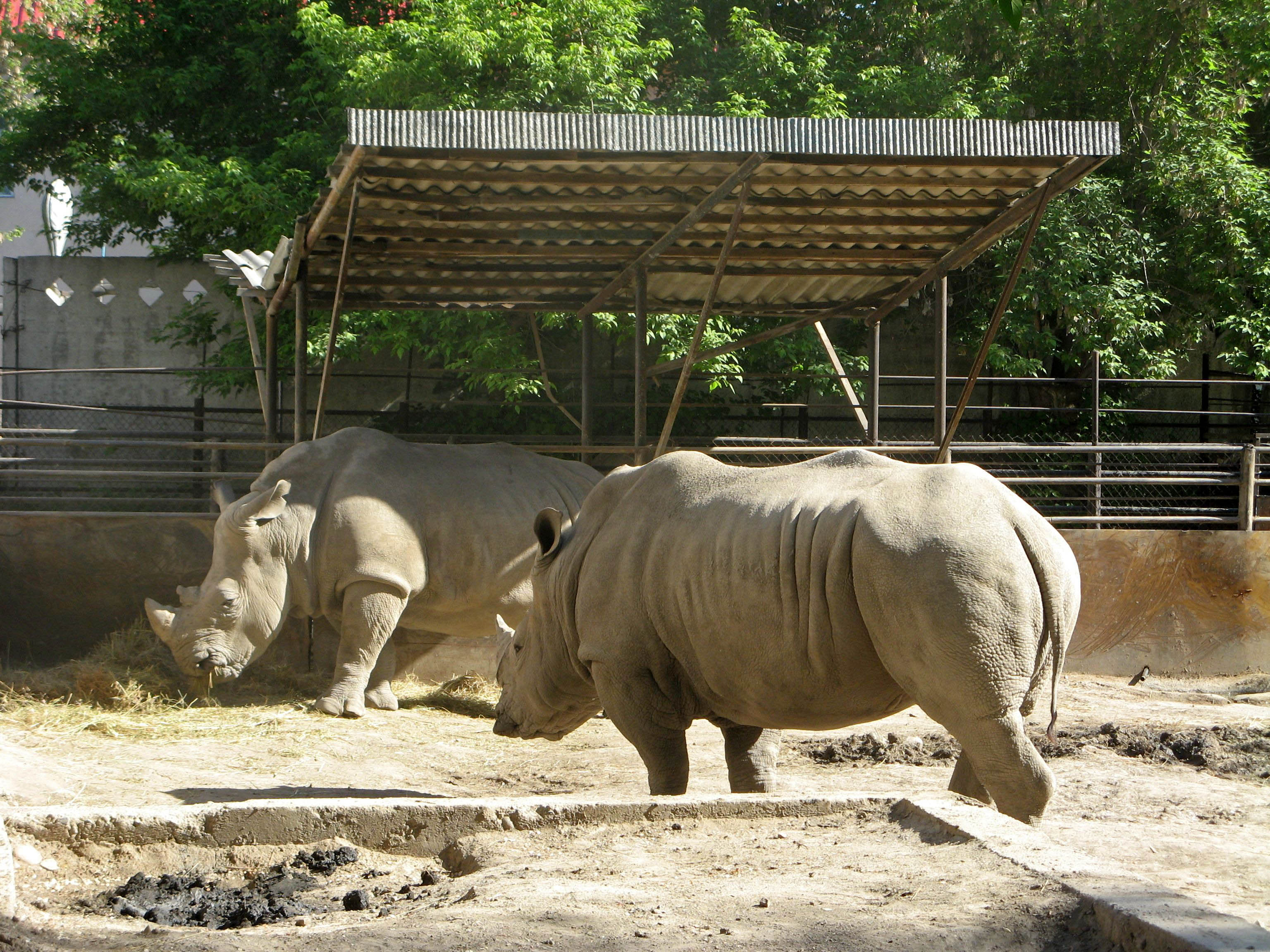 アルマトイ動物園 Wikipedia