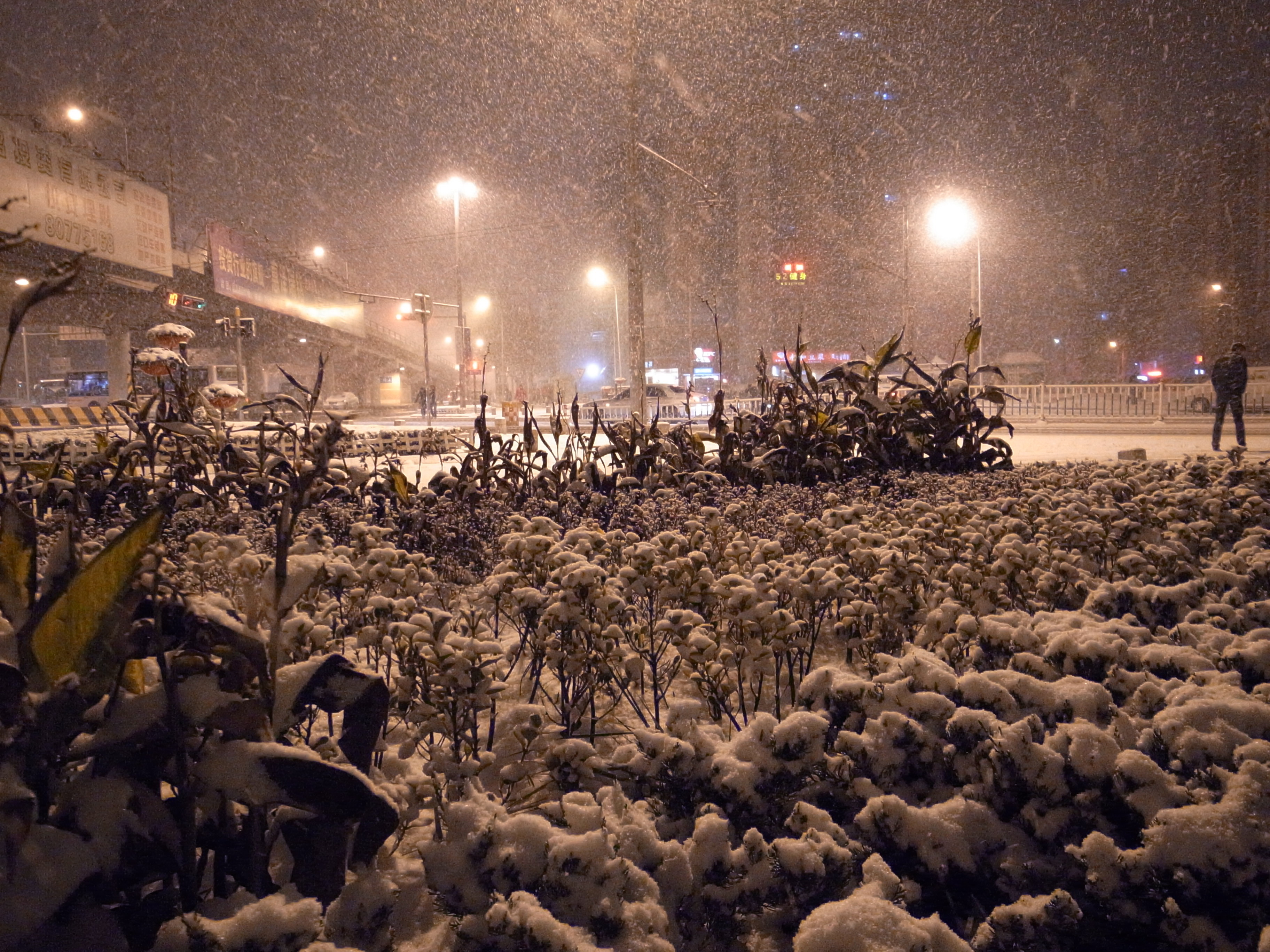 File 风雪夜归人 Panoramio Jpg Wikimedia Commons