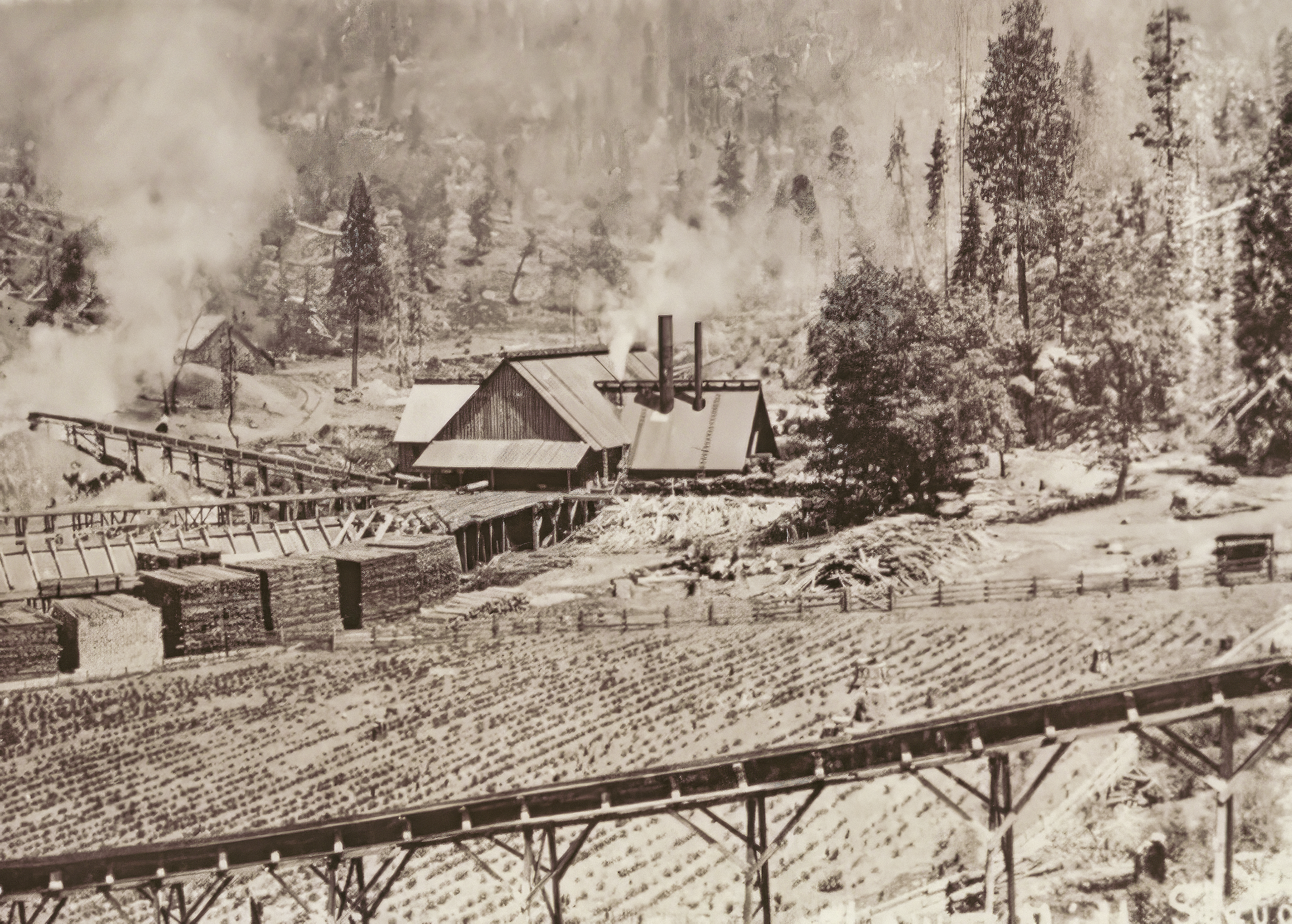 Chipper and sons lumber co steam фото 104