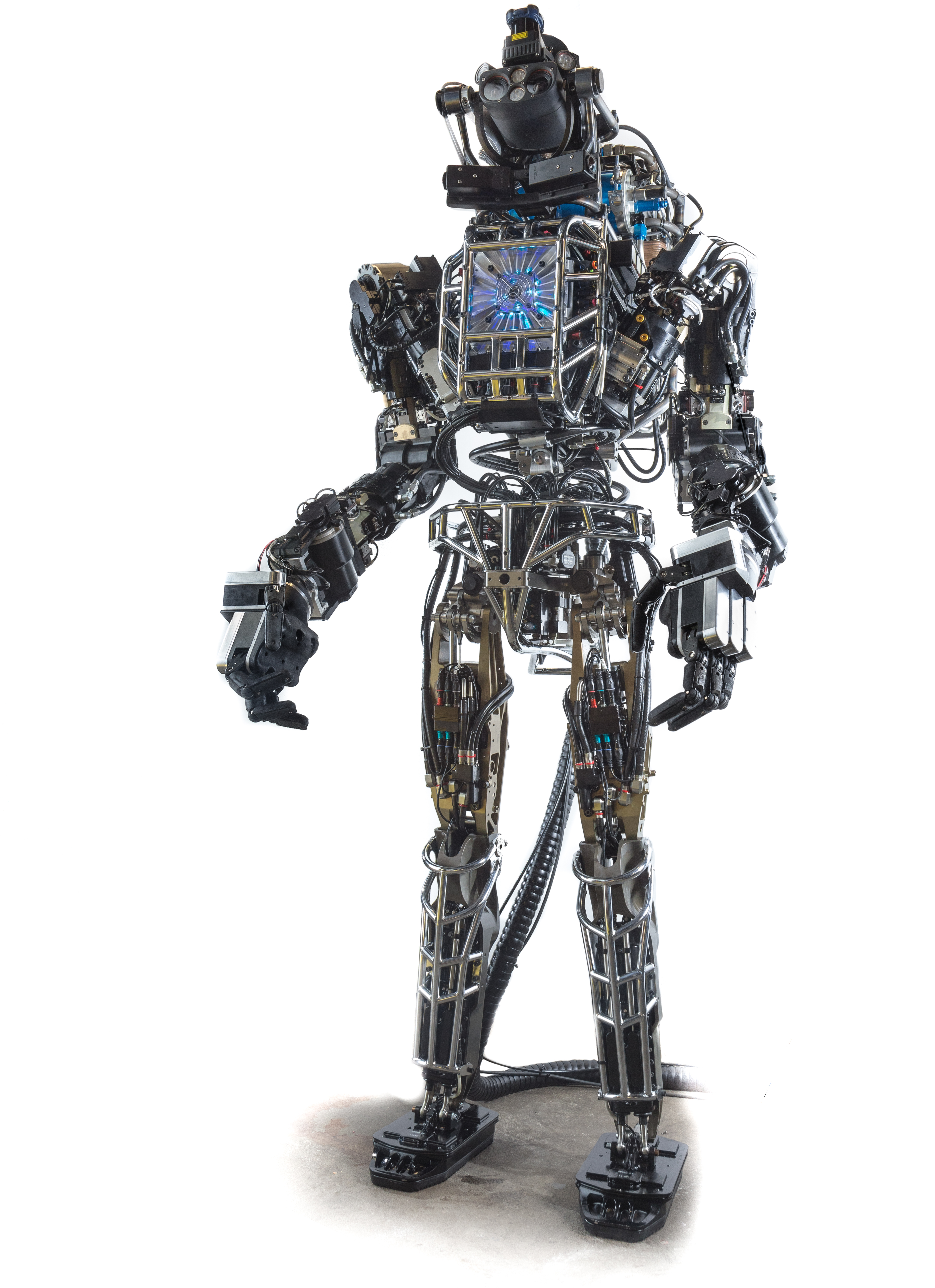 Atlas (robot) Wikipedia, libre