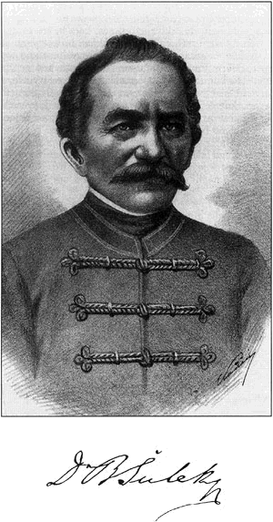 <span class="mw-page-title-main">Bogoslav Šulek</span>