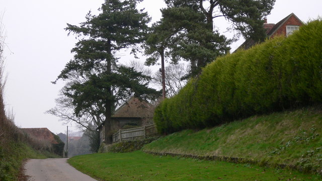 File:Buildings in unnamed lane at Tillington - geograph.org.uk - 1099448.jpg