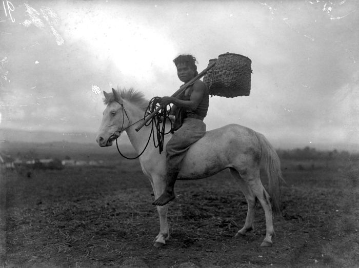 File:COLLECTIE TROPENMUSEUM Batakse man te paard TMnr 10013324.jpg