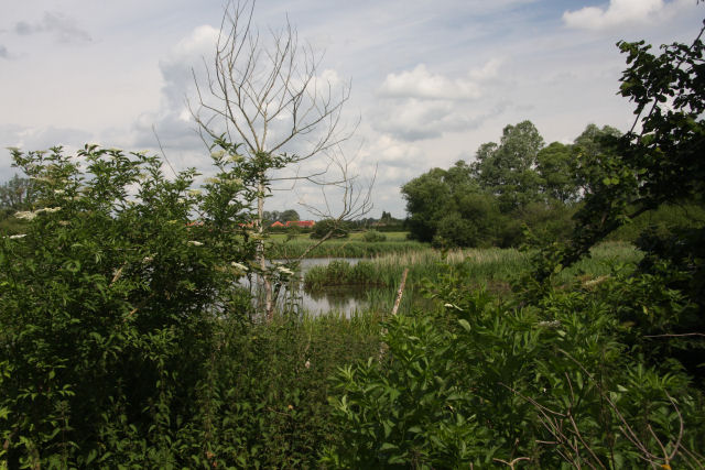 Cornard Mere